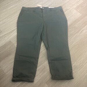 NWT Loft Girlfriend Chino Pants Olive Green Plus Size 22
